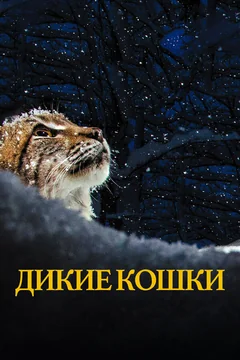 Фильм Дикие кошки (2021)