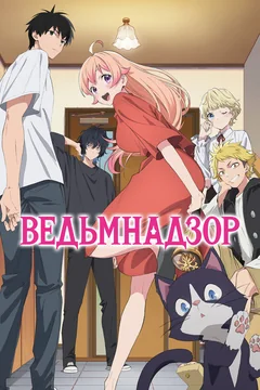 Аниме сериал Ведьмнадзор (1 сезон)